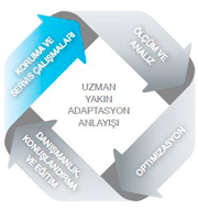 sydiv_235_a_tr (7)