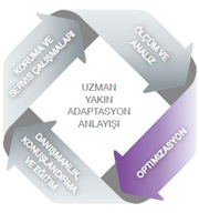 sydiv_237_a_tr (1)